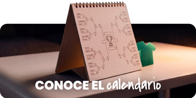 Calendario y edición especial de la fibra esponja original playera Scotch-Brite
